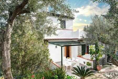 Gocce Villas - Casa Maradona 纳拉诺 外观 照片